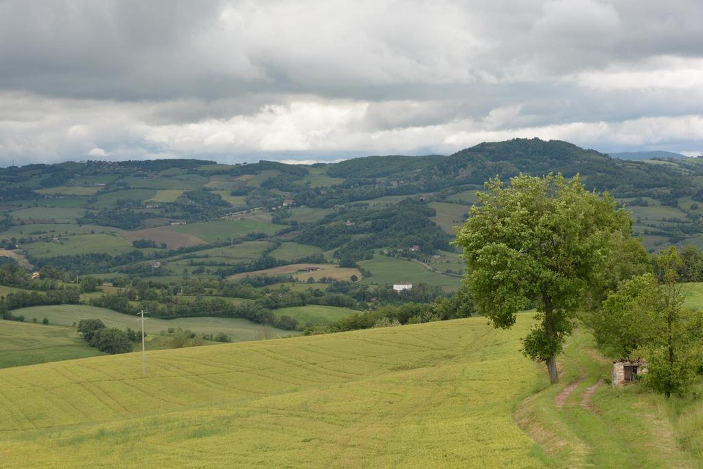 Вілла Agriturismo Agronauta Piozzano Екстер'єр фото